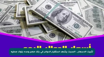 تثبيت الأسعار.. السبت يشهد استقرار الدولار في بنك مصر وعدة بنوك محلية